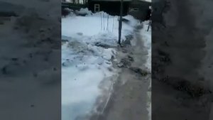 Топит, людей, полная антисанитария