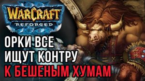 Орки все ищут контру к бешеному Альянсу: WSB (Hum) vs Yange (Orc) Warcraft 3 Reforged