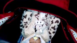 Поехали в деревню с Аришкой !!!