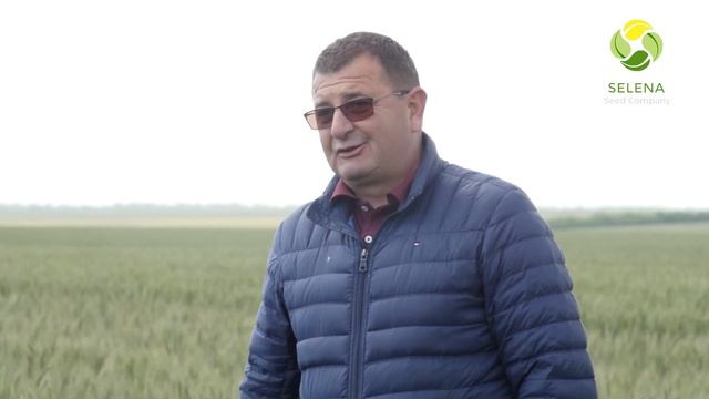 В Бессарабії, сорти пшениці компанії "Селена", вистояли в умовах посухи і дали хороший врожай смотреть онлайн