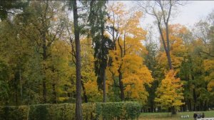 Сентябрь. Рубцов Николай Михайлович