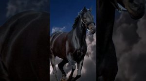 МаРРуся  - Конь вороной минус