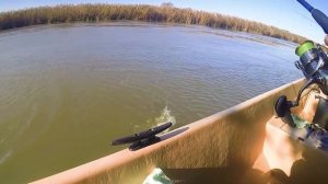 Обзор съедобной резины Sawamura OneUp Shad Slim