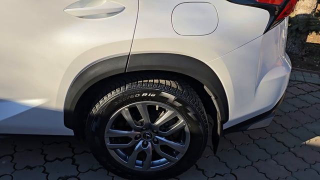 1000804397.mp4 смотреть онлайн