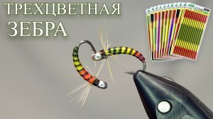 Зебра Трехцветная. Уникальные мушки с плавным переходом цвета за минуту!