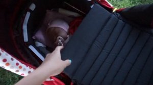 Прогулка с Хлоей