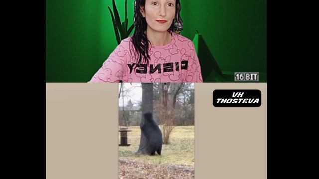 Приколы ютуб