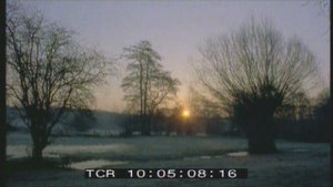 Birthday, Sound Design, Music by Leo Saidenough