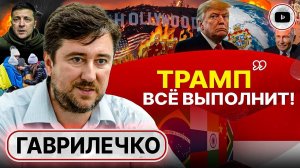 Так ЗЕЛЁНОГО СЛОНА не продать! - Гаврилечко. Переговоры Трампа с Путиным: миротворцы здесь лишние!