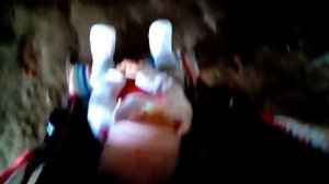 Прогулка с Бри