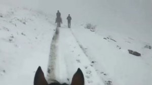 Викри Дахадаевский район