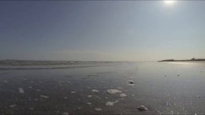 Zen: Music for Balance and Relaxation, with GOPRO Camera, Water Sounds, Sea Landscape by the Beach