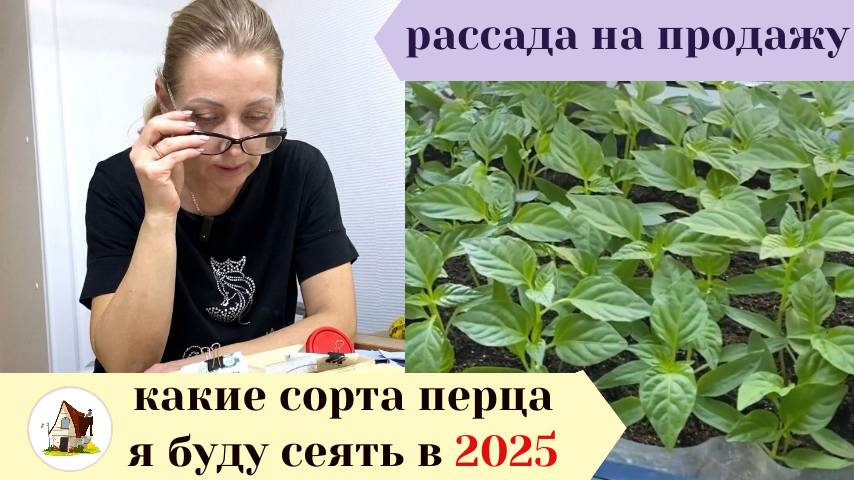 15. Сорта перцев. Рассада на продажу 2025.