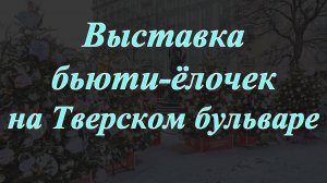Выставка бьюти-ёлочек на Тверском бульваре (2025)