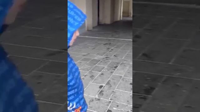 Ну,почему так много бездомных собак😔и как всем помочь?😔Сердце болит,когда смотрю на них😔Мои хорошие