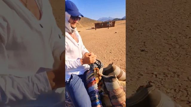 Сафари на Квадроциклах, поездка на Верблюдах, Экскурсия Хургада Египет 2024 год 9$ смотреть онлайн