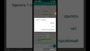 переписка вару и пика (ПикоВару)