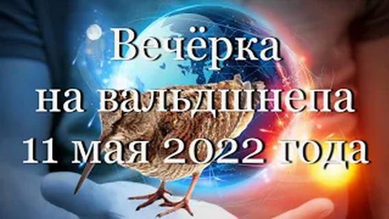 Вечёрка на вальдшнепа 11 мая 2022 года #мой_мир_поморье