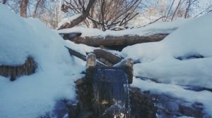 Фэтбайк зимой. Томск. Ключ в Михайловской роще.