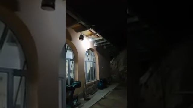 Sayroqi Sof Ovlangan Bedanalar / Сайроки Соф Овланган Беданалар