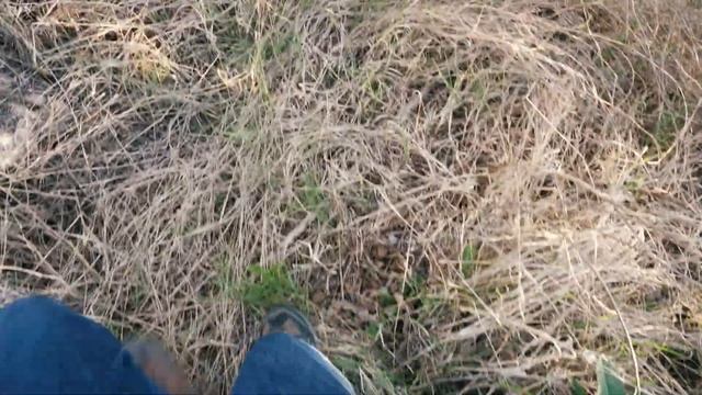 Why those buildings still remain is mysterious 🇧🇬 Abandoned Factory in Bulgaria смотреть онлайн