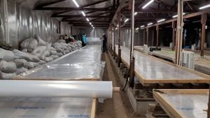 Сезон рассады | Спасаем растения | Куча неожиданной работы