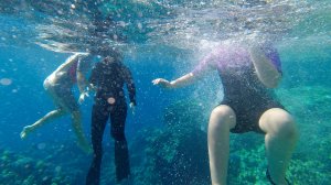 Шарм-Эль-Шейх 2024 Дайв Ин - день пятый - дети сноркают, мы ныряем