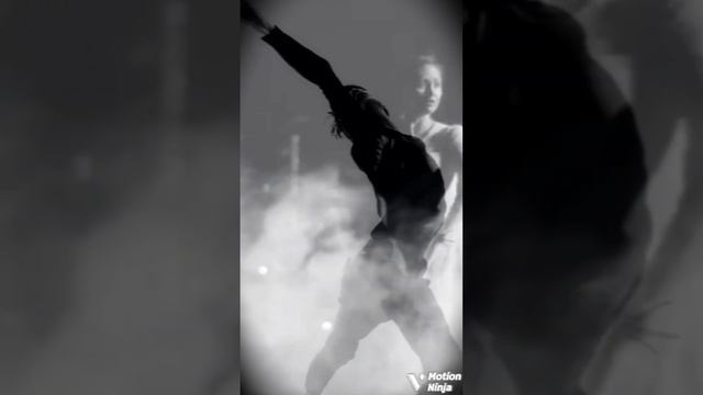 Любовь уставших лебедей.  Лара Фабиан