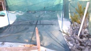 Ёлки накрывать! 2024