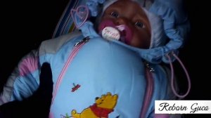 Прогулка с Брианой ❄