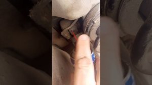 Задний  амортизатор Киа