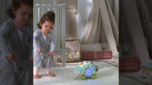 Fisher Price: Linkimals, Интерактивная игрушка Ежик GJB140