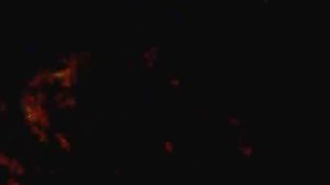 dendrobena. mini worm cafe. Дендробена в погребе.