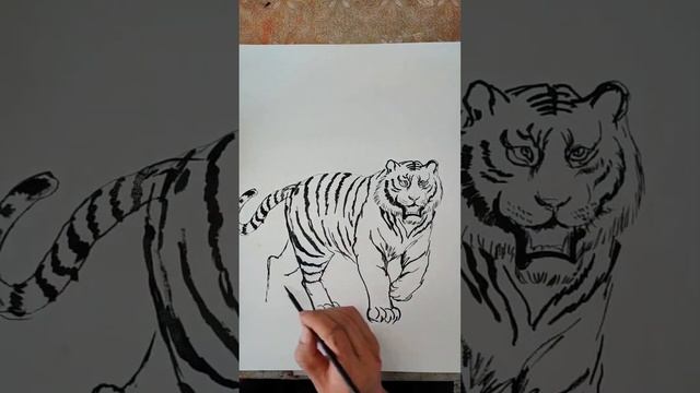 शेर का चेहरा खींचना सीखें 🎨|Tiger Face Drawing Step by Step#drawing#trending#tigerdrawing #shortfee