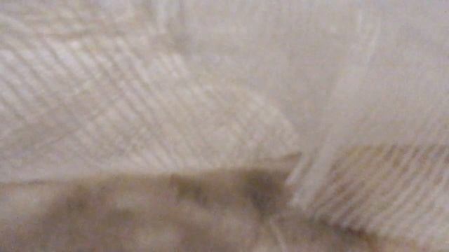 Готовимся к хелоувину! смотреть онлайн