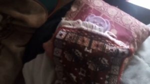 Банановая Яичница и Трофим