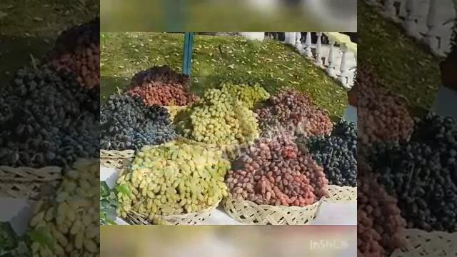 узбек миллий таомлари