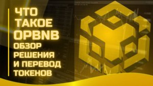 Что такое opBNB — обзор решения и перевод токенов из сети BNB в opBNB