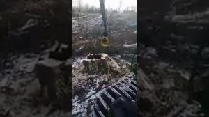 Живодеры