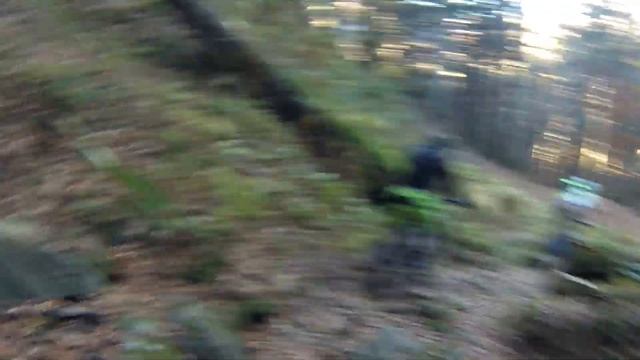 MTB ScopionBikeTeam-Discesa Poggio Bertesca/Lama- Casentino смотреть онлайн