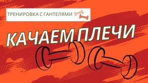 КАЧАЕМ ПЛЕЧИ ДОМА. Тренировка с гантелями