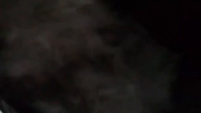 Окрол кролики