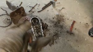 Мотоблок Салют. Земля в редукторе.