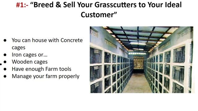 A 20 Million Naira Business Idea Right From Your Backyard смотреть онлайн