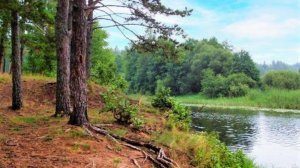 Вика Цыганова - Жаль