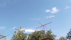Среднеазиатские голуби гон .и командировка. Голуби Новоалександровска. Алексей.