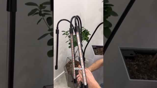 Недостаточно солнца для ваших растений зимой? 
Дайте им то, что нужно, с помощью фитолампы! ☀️