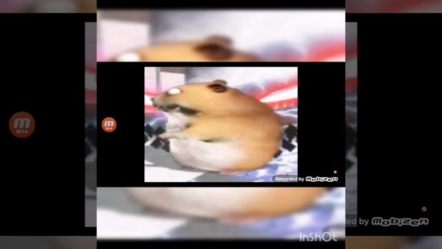 хомяк флексит ремикс