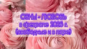 ОВНЫ - ЛЮБОВЬ в феврале 25г.