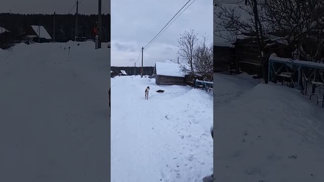 Заимка на Урале на RUTUBE: 451 видео – смотреть онлайн и бесплатно ...